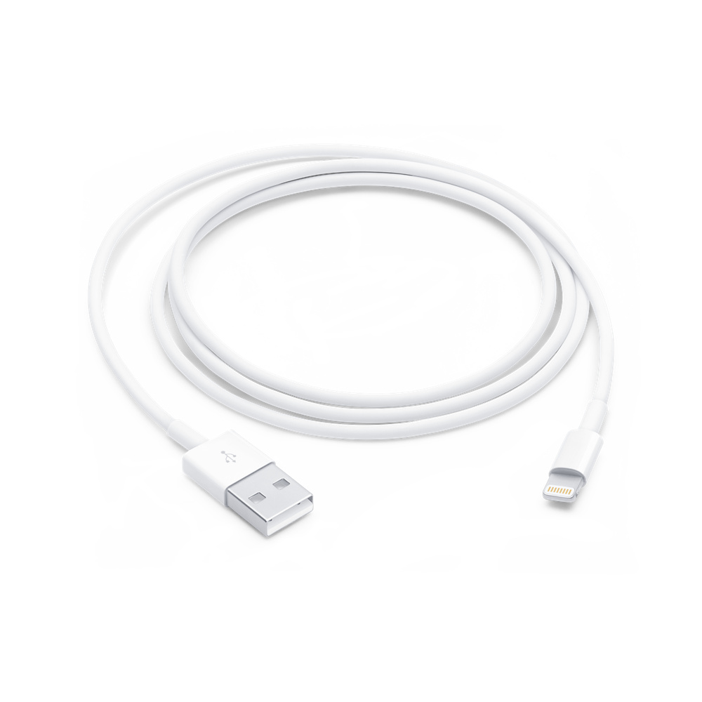 iPhone Lightning to USB Cable-1M-White